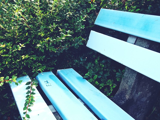 Shams：保罗对教练组越来越直言不讳，泰伦·卢认为他越界了